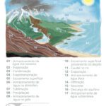 Conservação do Solo e da Agua - Ilustras