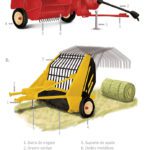 Estratégias para Entressafras - Ilustras